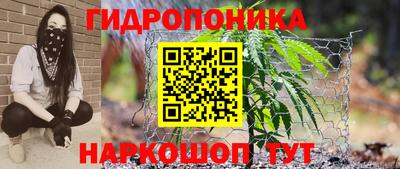 spice Малоярославец