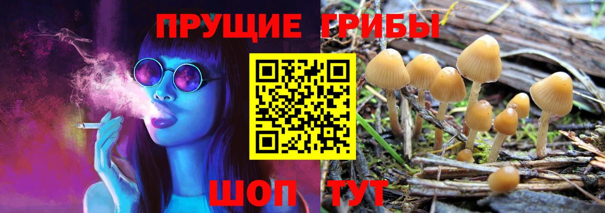 Горно-Алтайск  Галлюциногенные грибы GOLDEN TEACHER  Вход с VPN 